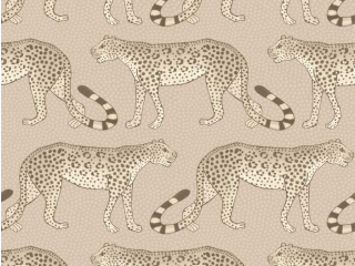 Cole & Son Leopard Walk - 109/2012