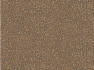 Cole & Son Senzo Spot - 109/6027
