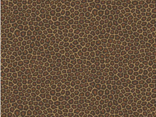 Cole & Son Senzo Spot - 109/6028