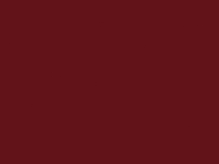 Little Greene - Baked Cherry 14