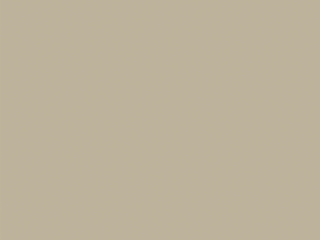 Little Greene - Slaked Lime Dark 151