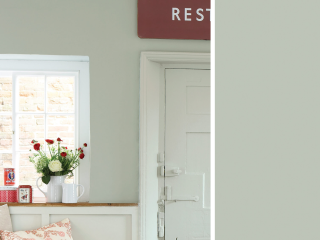 Little Greene Absolute Matt Emulsion - Pearl Colour Dark 169
