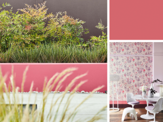 Little Greene Intelligent ASP - Carmine 189