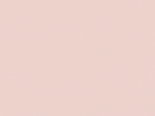 Little Greene Wall Primer Sealer - Pink Slip 220