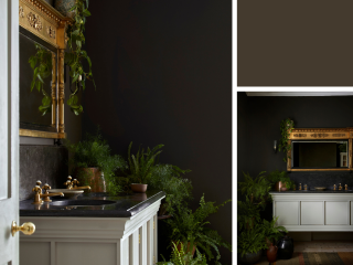 Little Greene Intelligent ASP - Elysian Ground 320