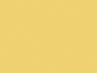 Little Greene - Indian Yellow 335