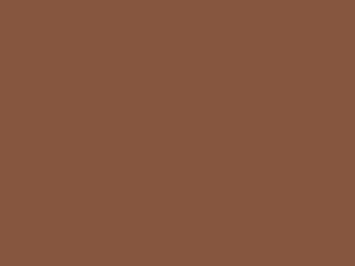 Little Greene Intelligent ASP - Muscovado 343