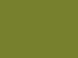 Little Greene Intelligent Floor Paint - Citrine 71