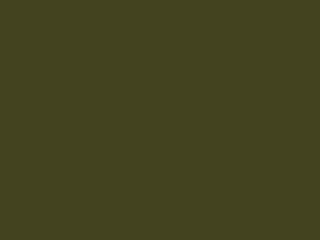 Little Greene Intelligent Floor Paint - Olive Colour 72