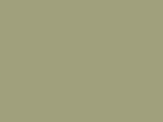 Little Greene Intelligent ASP - Normandy Grey 79