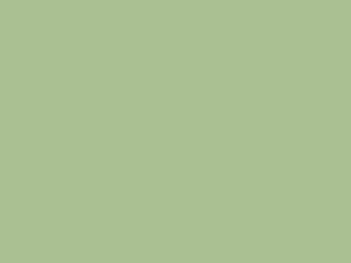 Little Greene Intelligent ASP - Pea Green 91