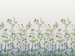 Bird & Bluebell - Ceviche behang met witte achtergrond en blauwe bloemen van Little Greene