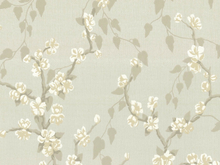 Little Greene Sakura - Fawn