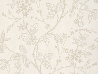 Little Greene Wrest Trail - Lime Plaster