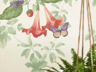 Little Greene Asterid - Lantern