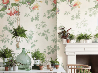 Little Greene Asterid - Lantern