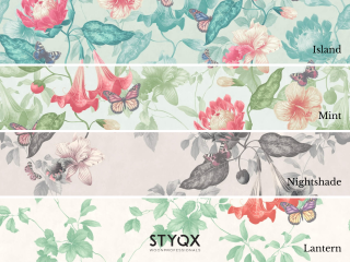 Little Greene Asterid - Island