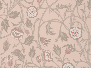 Little Greene May's Tulip - Castell Pink