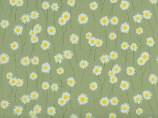 Little Greene Moon Daisies - Garden