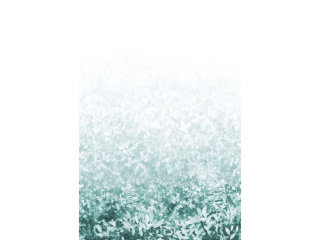 Paint & Paper Library Folia - Teal