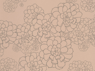 Paint & Paper Library Aeonium - Temple