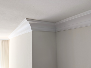 Orac kroonlijst CX100