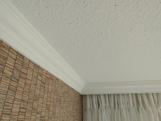 Orac kroonlijst CX110