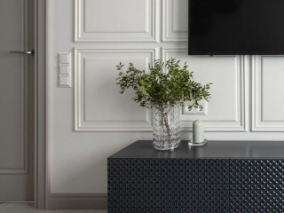 Orac wandpaneel D503