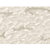 Cole & Son Melville - 103/1003