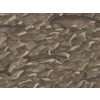 Cole & Son Melville - 103/1005