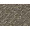 Cole & Son Columbus - 103/13056