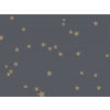 Cole & Son Stars - 103/3017