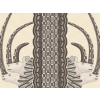 Cole & Son Jabu - 109/3014