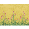 Little Greene Upper Brook Street - Soleil
