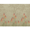 Little Greene Upper Brook Street - Midi