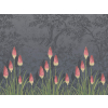 Little Greene Upper Brook Street - Minuit