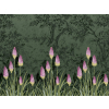 Little Greene Upper Brook Street - Night Garden