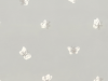 Cole & Son Peaseblossom - 103/10034