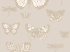 Cole & Son Butterflies & Dragonflies - 103/15064
