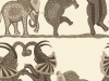 Cole & Son Safari Dance - 109/8036
