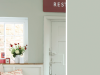 Little Greene Intelligent ASP - Pearl Colour Dark 169