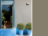 Little Greene Intelligent Exterior Eggshell - Silt 40