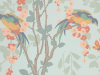 Little Greene Loriini - Jolie