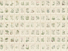 Sandberg Botanica - Oat