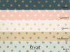 Little Greene Lower George Street - Comet
