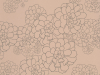 Paint & Paper Library Aeonium - Temple