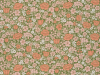 Little Greene Springflowers - Garden