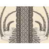 Cole & Son Jabu - 109/3014