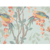 Little Greene Loriini - Jolie
