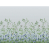 Little Greene Bird & Bluebell - Celestial Blue